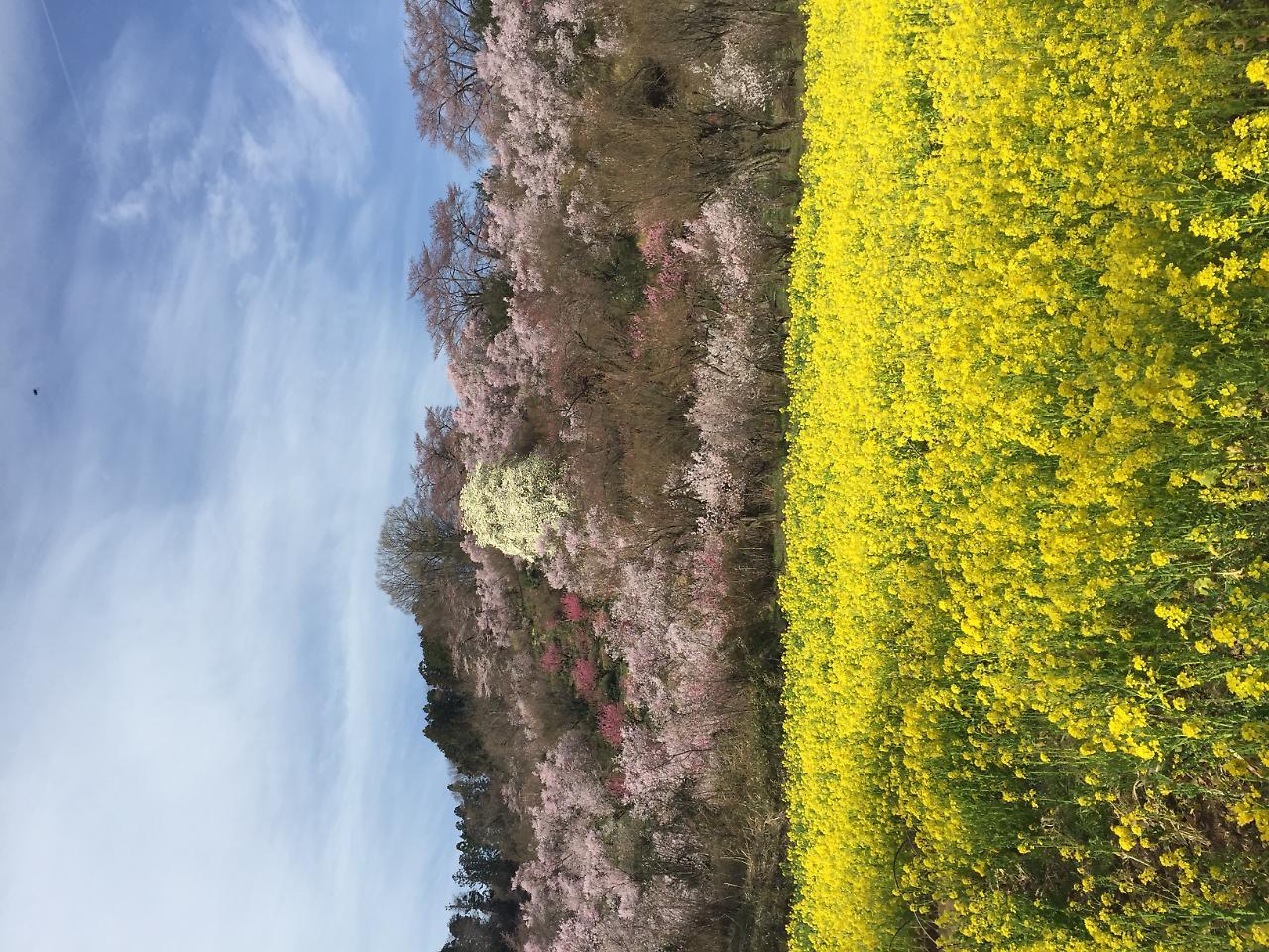 Hotel Sunroute Fukushima Фукушима Екстериор снимка